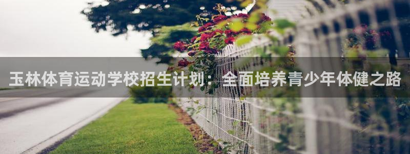 欧亿体育官方正版app新能源:玉林体育运动学校招生计划:全面