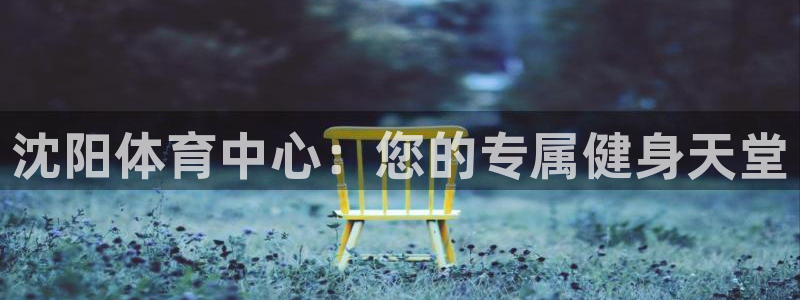 欧亿体育官方正版app官方:沈阳体育中心:您的专属健身天堂