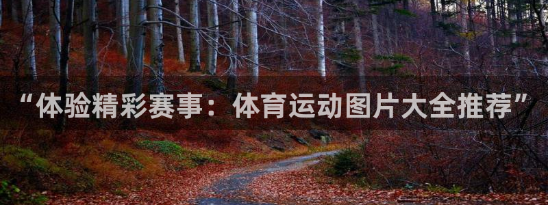 欧亿体育官方正版app娱乐40996:“体验精彩赛事:体育运